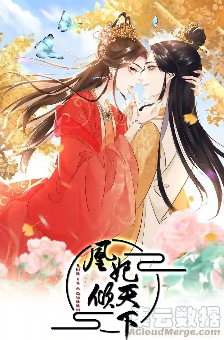 凰妃倾天下004 洞房之夜