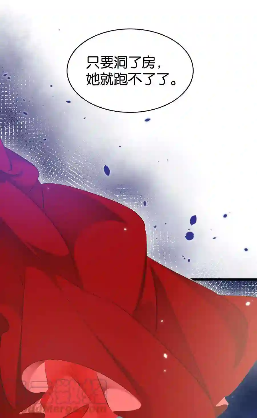 凰妃倾天下004 洞房之夜