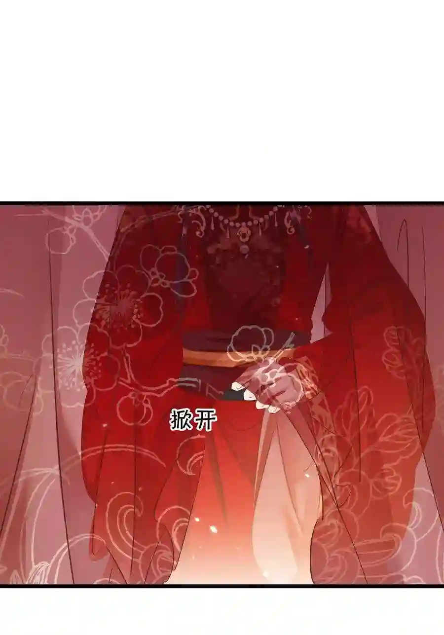 凰妃倾天下004 洞房之夜