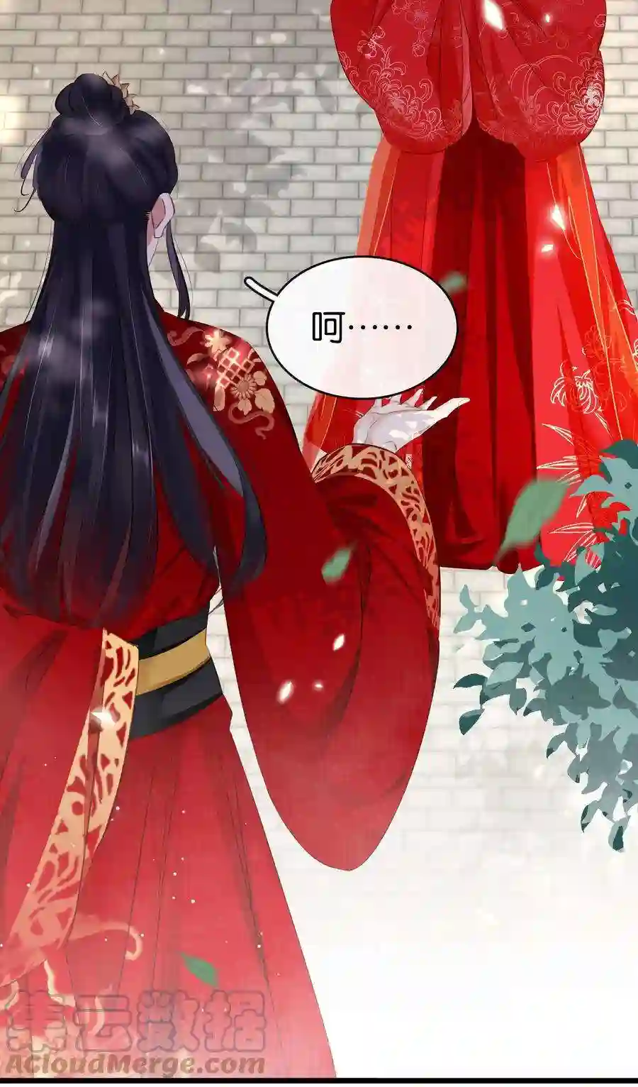 凰妃倾天下004 洞房之夜