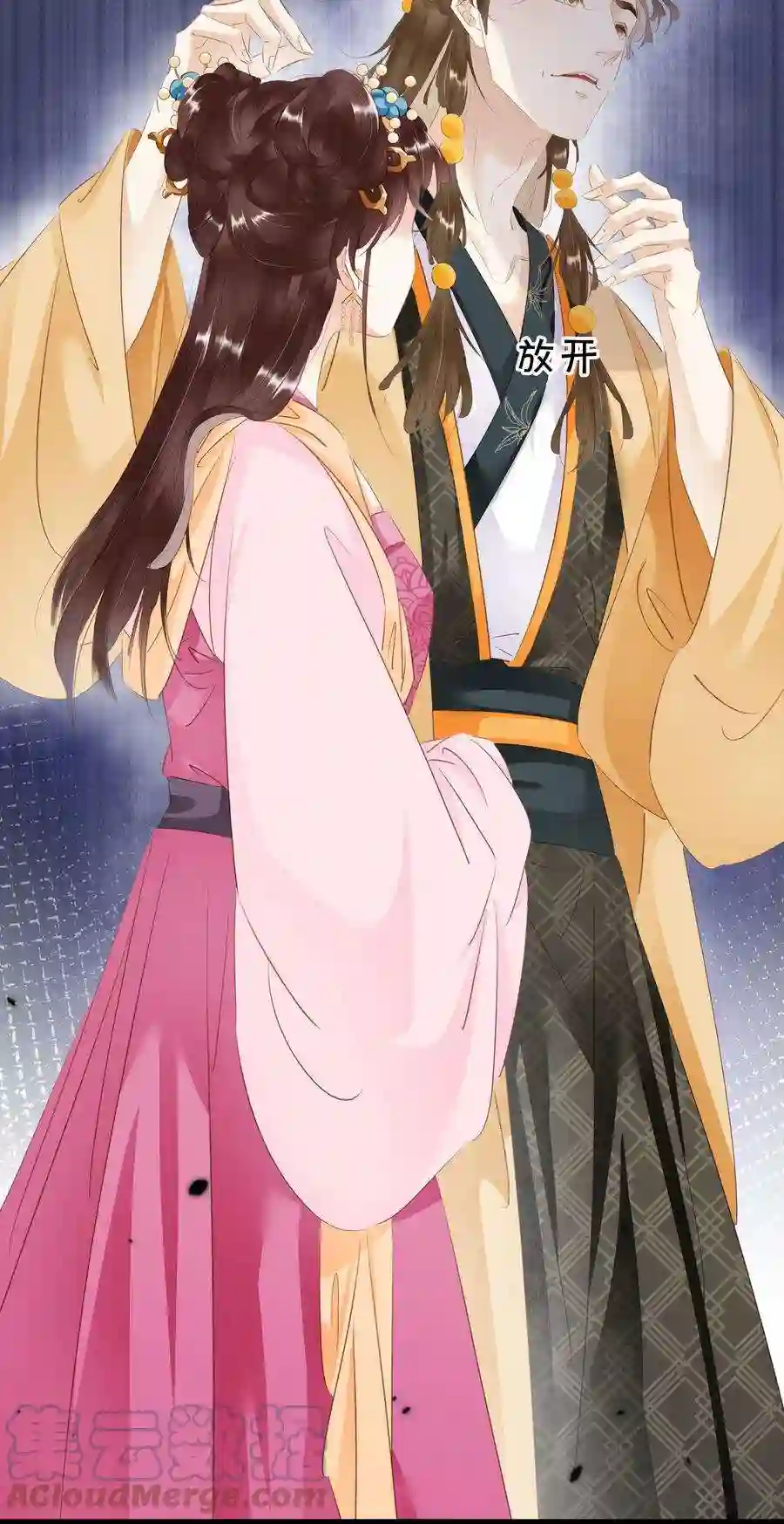 凰妃倾天下011 顺水推舟