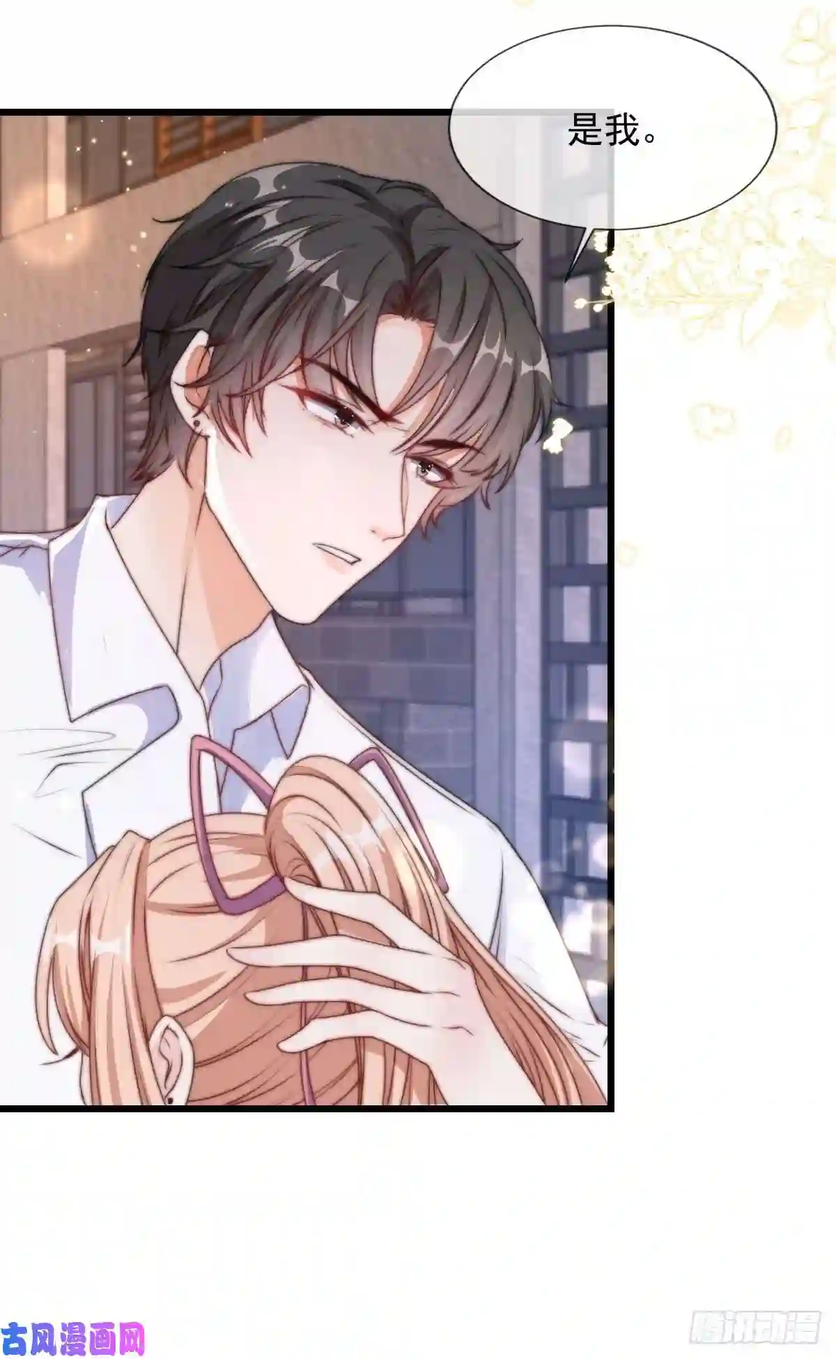 我成了五个大佬的掌心宠16