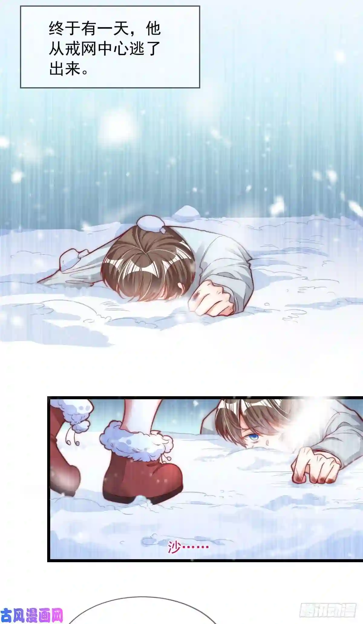 我成了五个大佬的掌心宠19