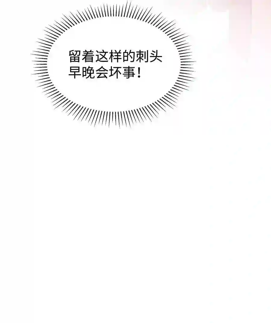 职业粉丝036 她有的，你学不来