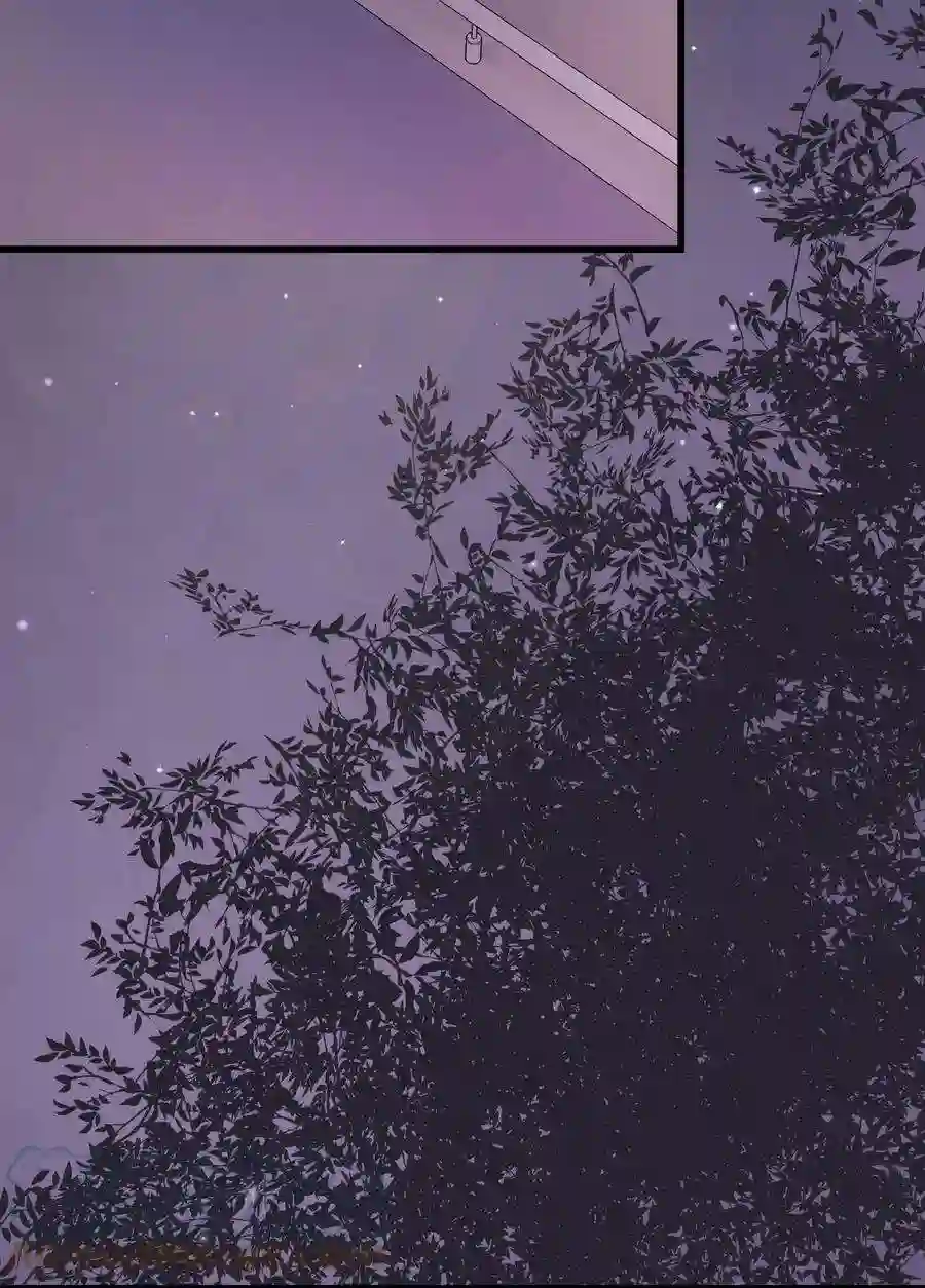 职业粉丝040 你现在还在追星吗？