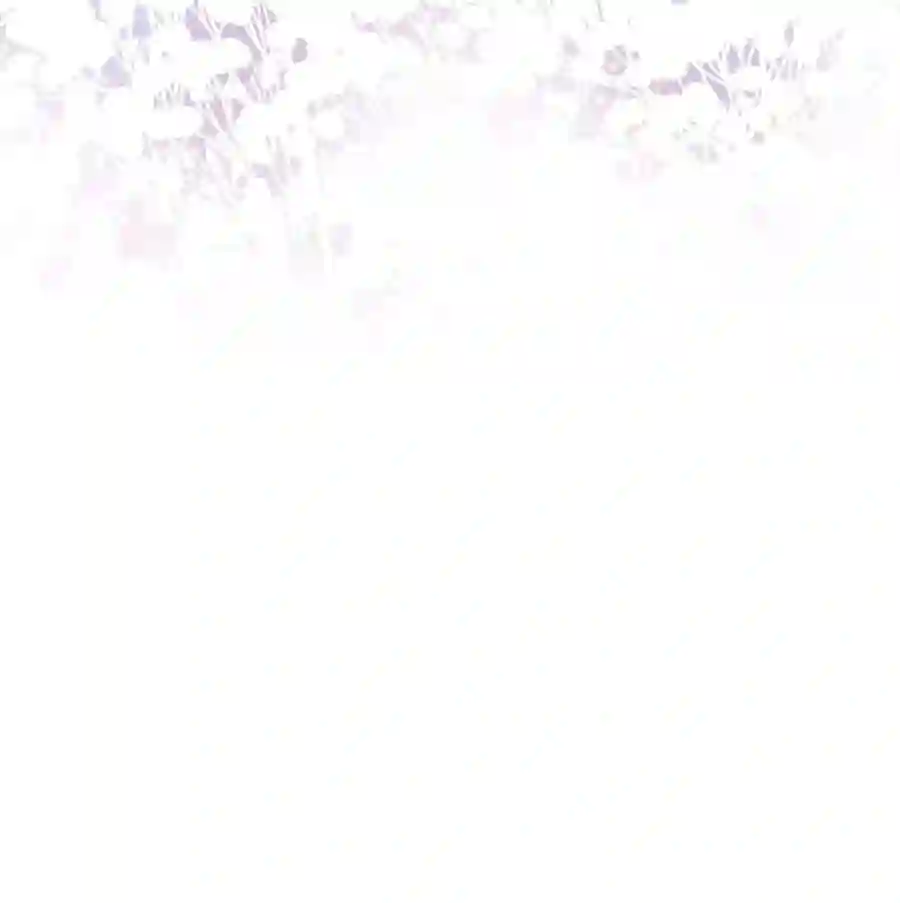 职业粉丝044 我不想麻烦老师