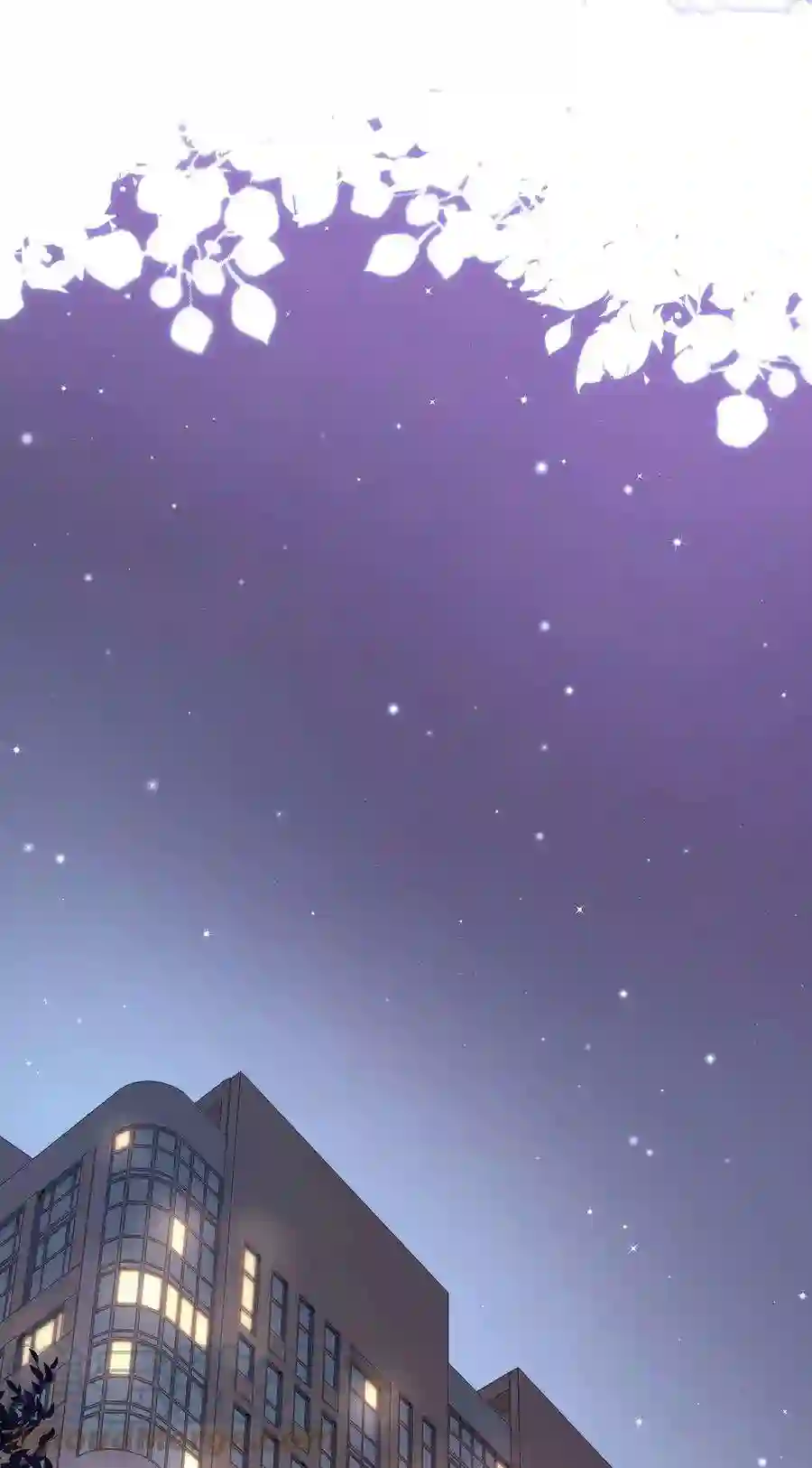 职业粉丝056 别打感情牌！