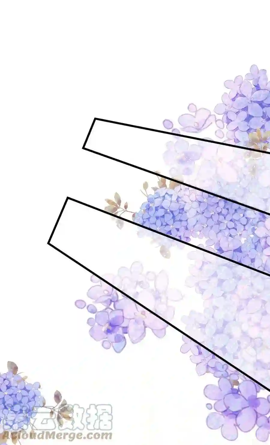 职业粉丝056 别打感情牌！