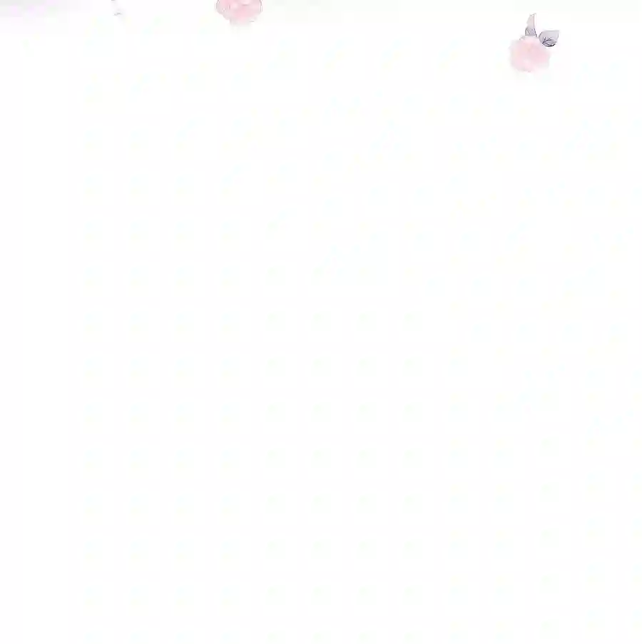 职业粉丝059 谢谢你，不曾放弃