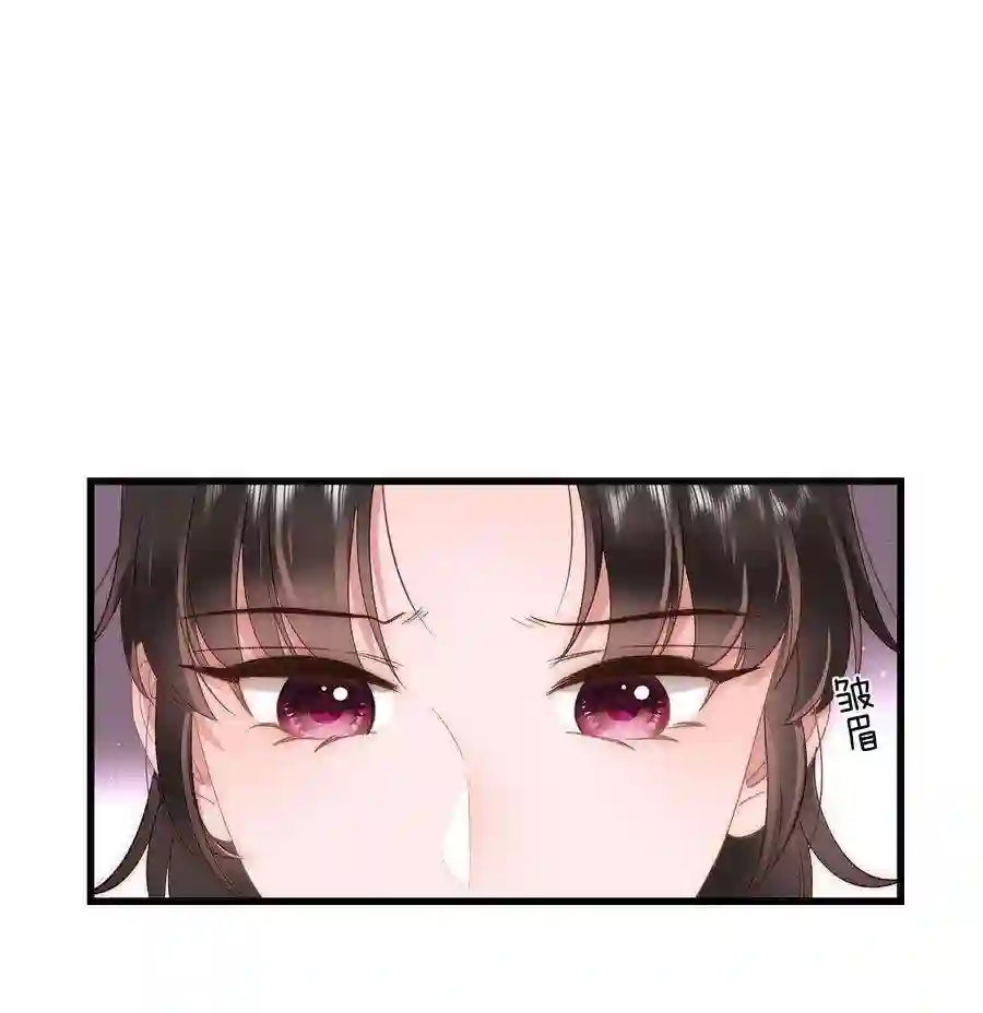 职业粉丝069 马甲掉了个彻底！