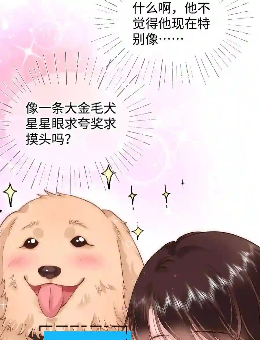 职业粉丝081 粉丝变偶像，读者变男神！