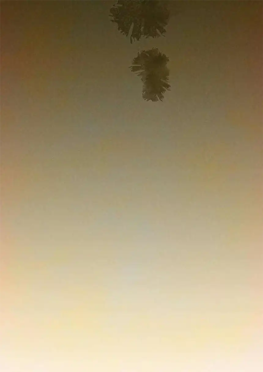 思绪万千018 罪恶