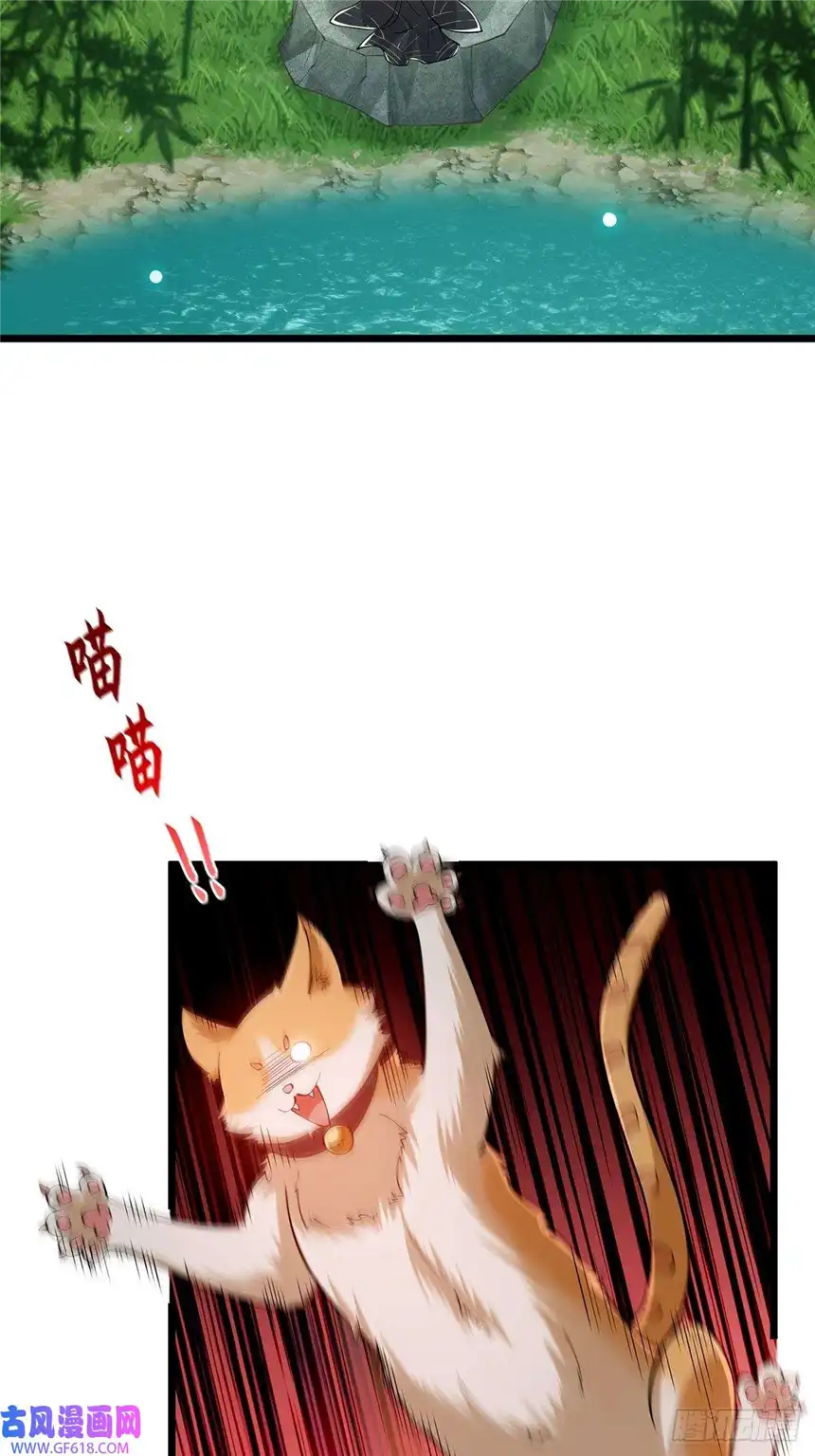 这号有毒017 撸猫真的有毒