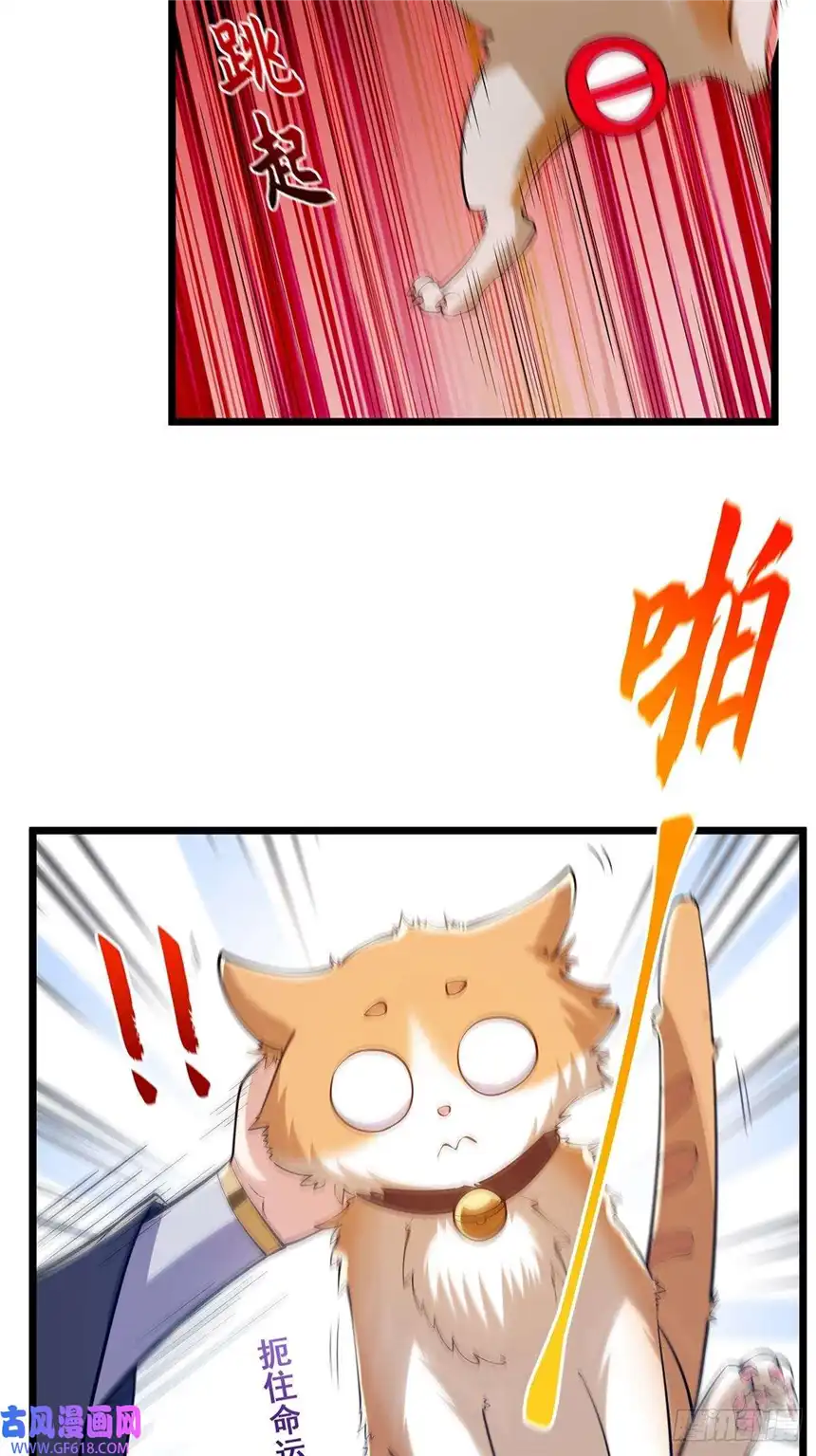 这号有毒017 撸猫真的有毒