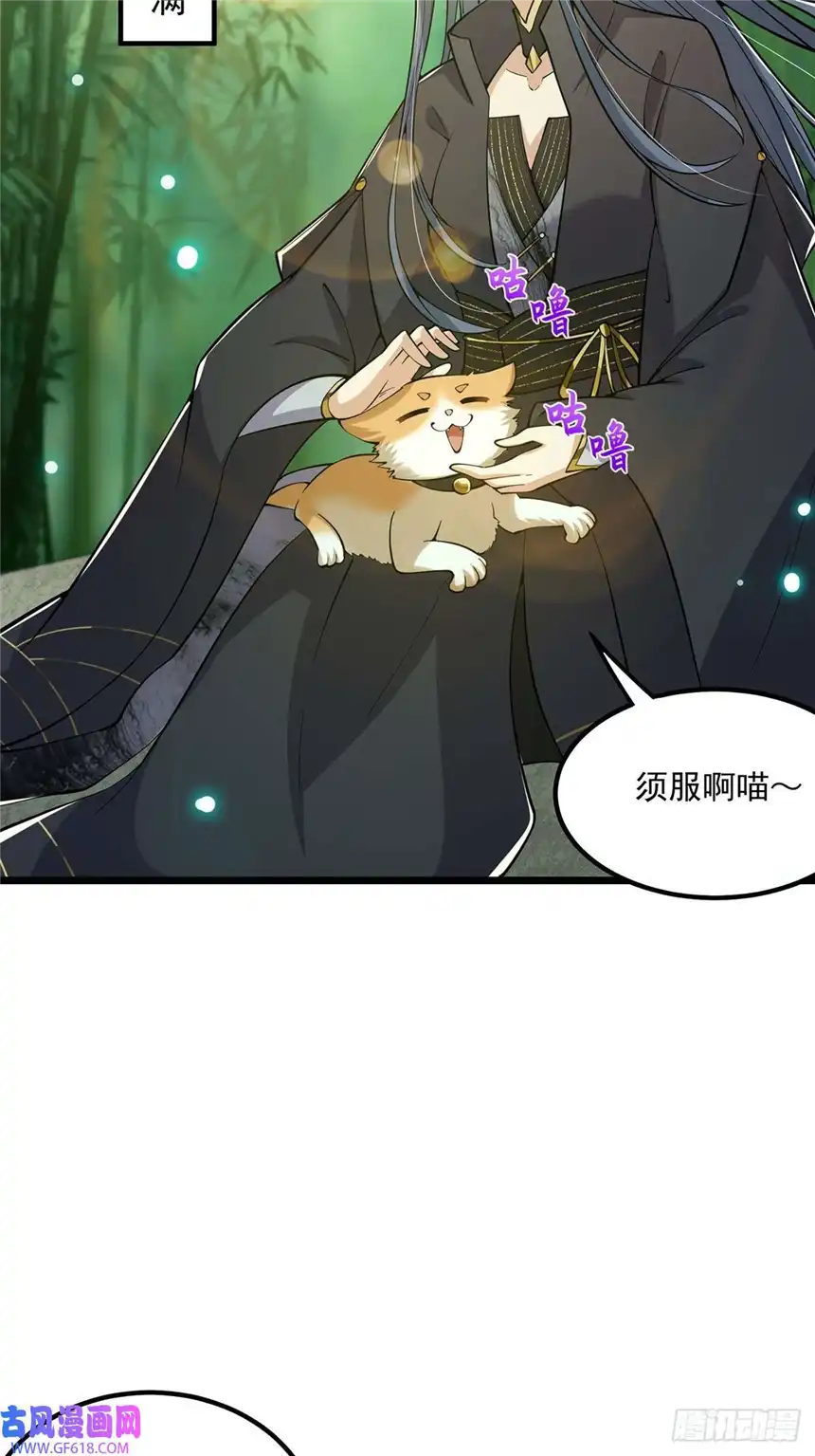 这号有毒017 撸猫真的有毒