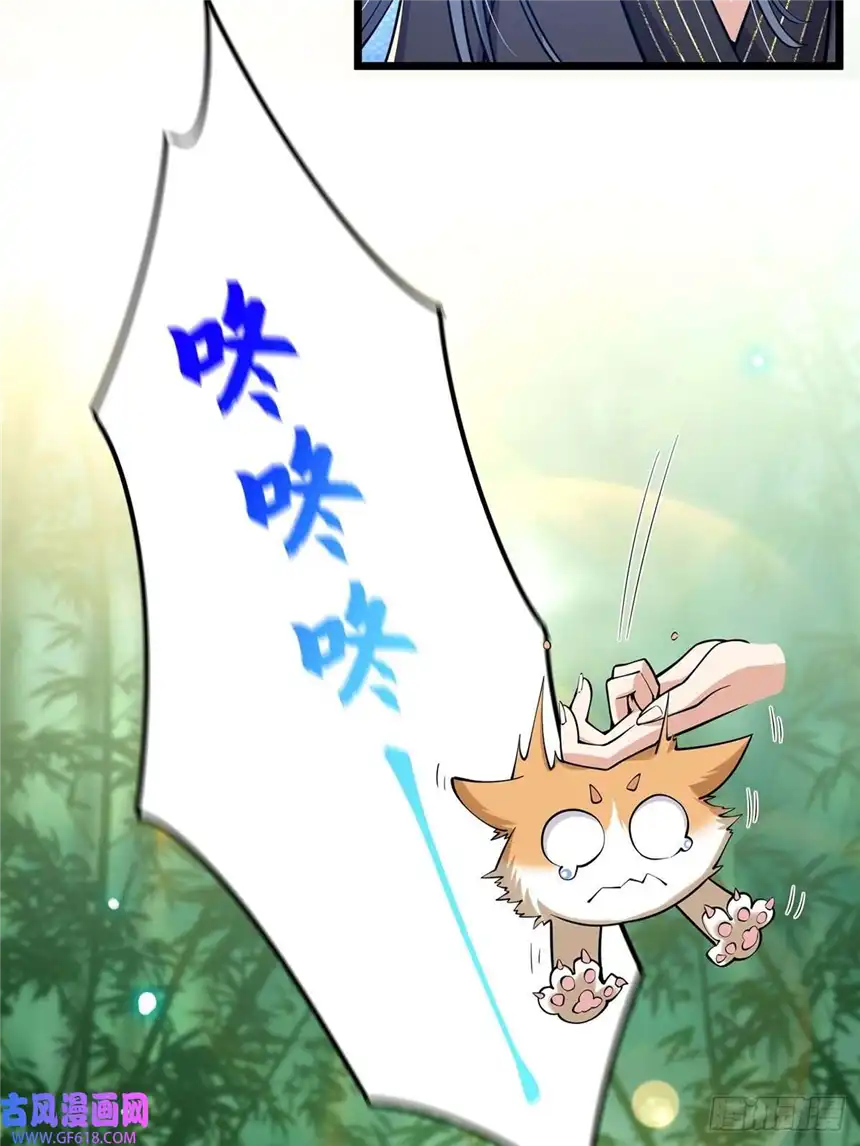 这号有毒017 撸猫真的有毒