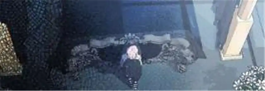 爱丽丝症候群1话 白兔和毒苹果（上）