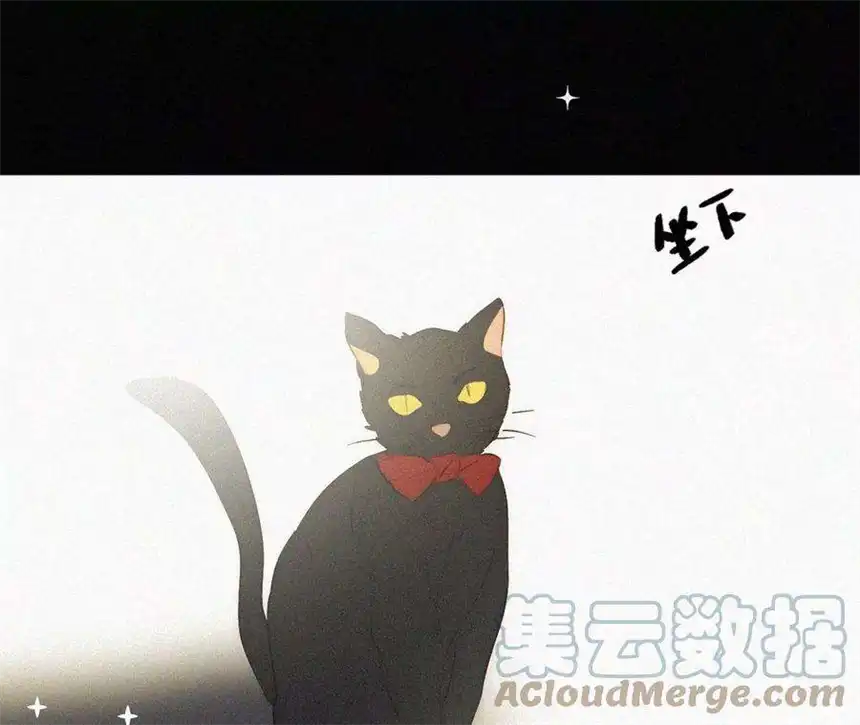 爱丽丝症候群3话 黑兔子和苹果酱