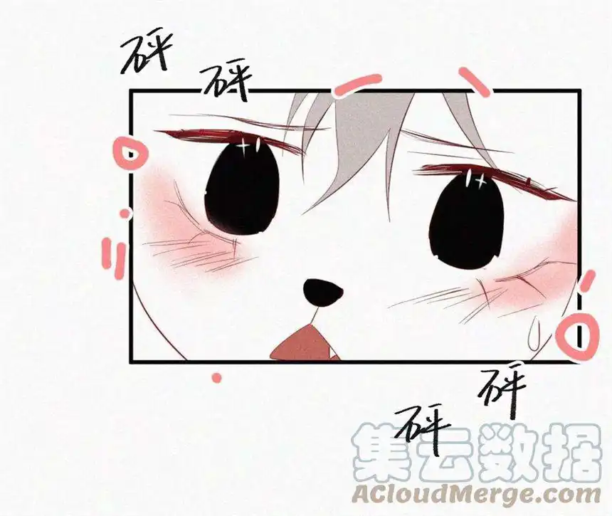 爱丽丝症候群11话 旁观者