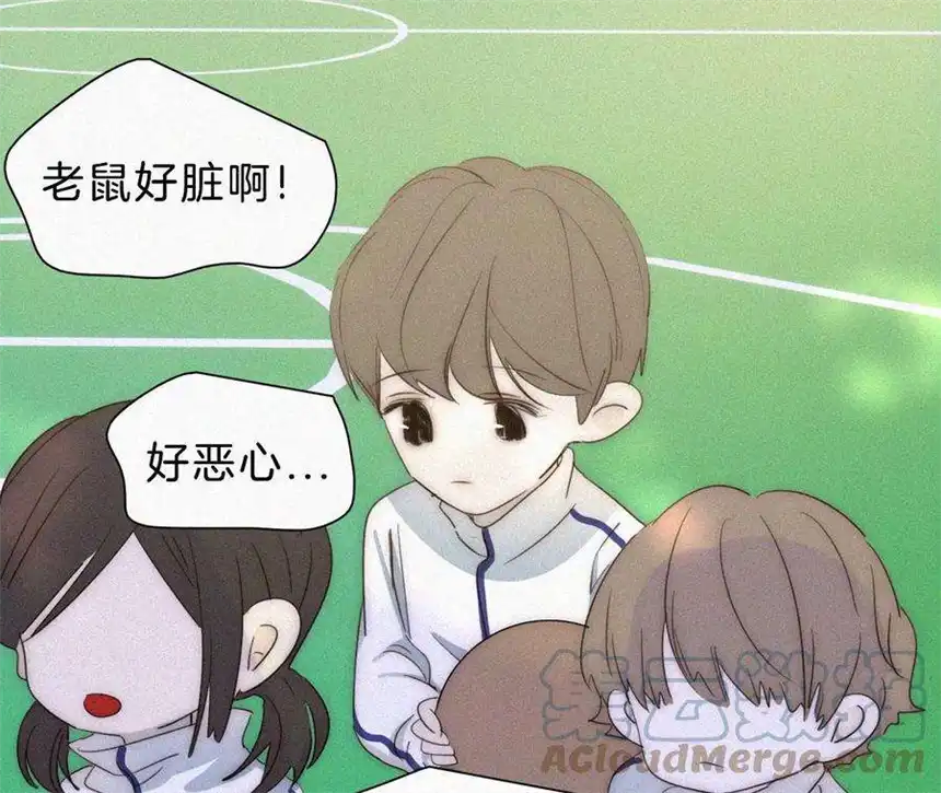 爱丽丝症候群13话 少年少女的羁绊（上）