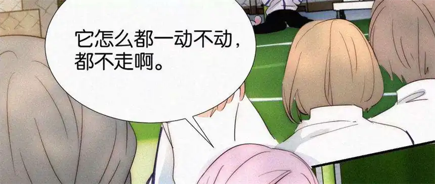 爱丽丝症候群13话 少年少女的羁绊（上）