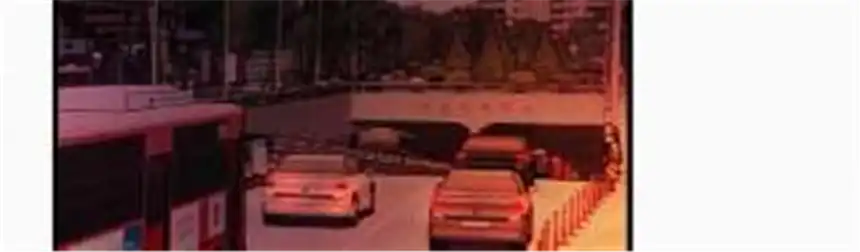 爱丽丝症候群14话 少年少女的羁绊（下）