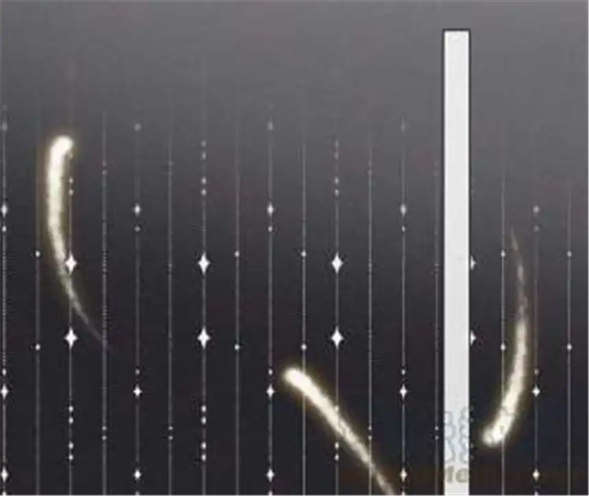 爱丽丝症候群25话 神明的考验