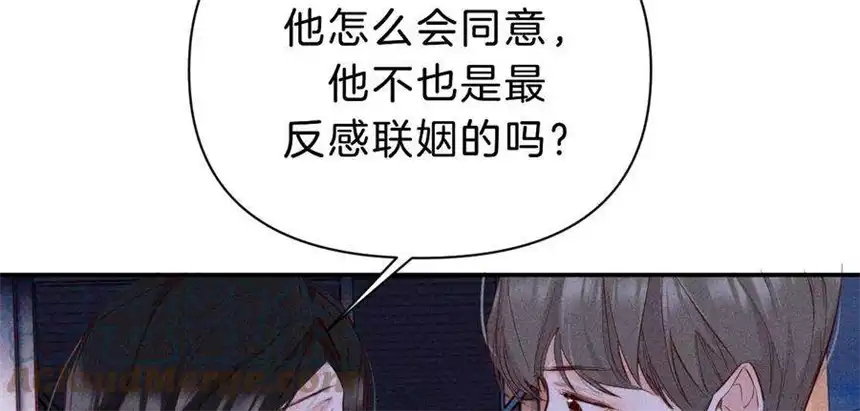 爱丽丝症候群31话 星空下的吻