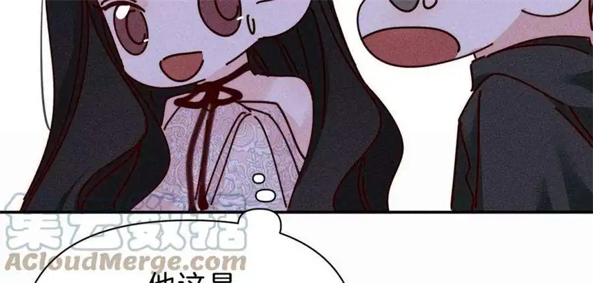 爱丽丝症候群31话 星空下的吻