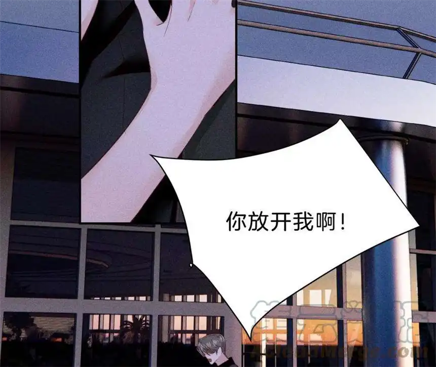 爱丽丝症候群31话 星空下的吻