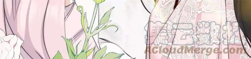 爱丽丝症候群32话 相认