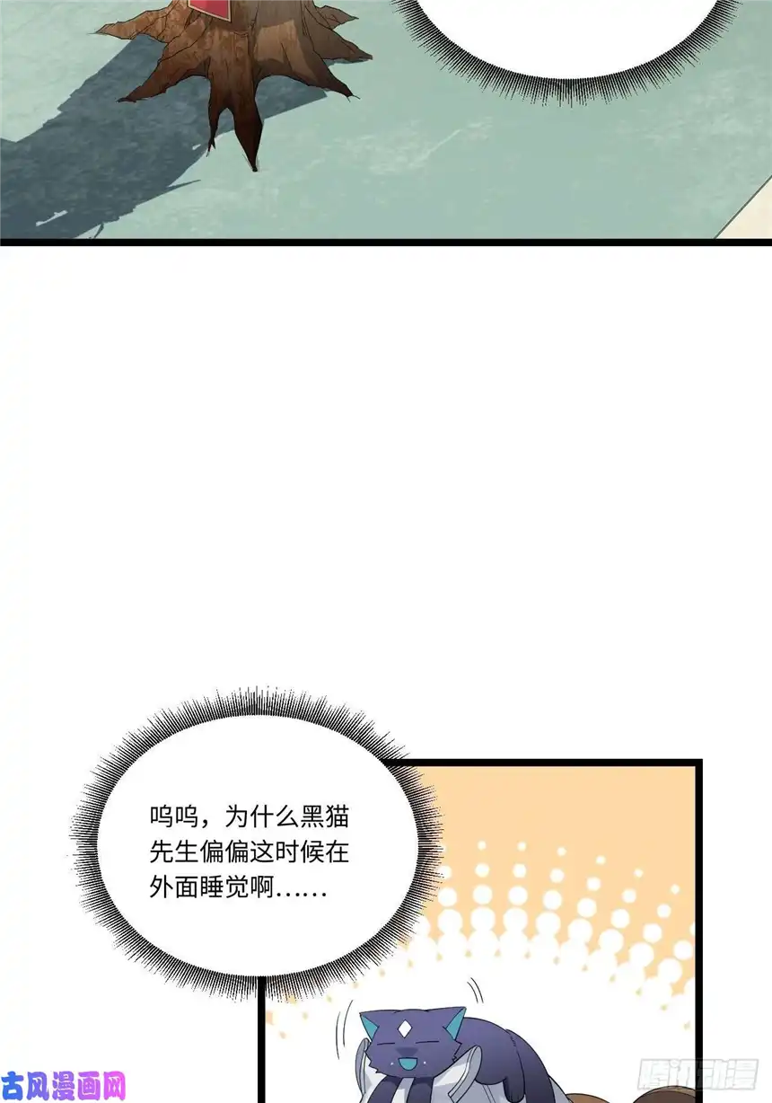 迈向克里玛莎12.小姐的安全