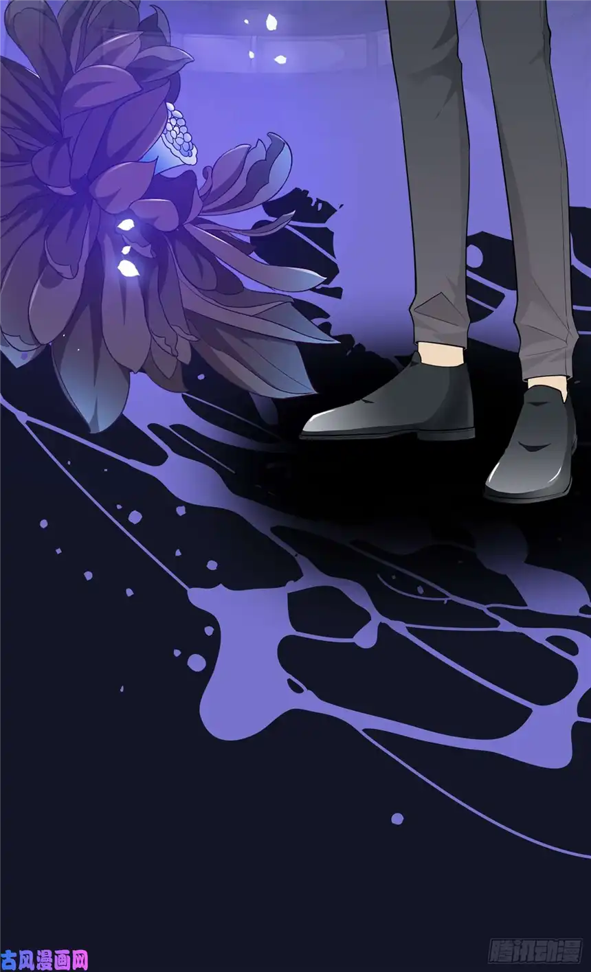 他说我是黑莲花人物档案揭秘