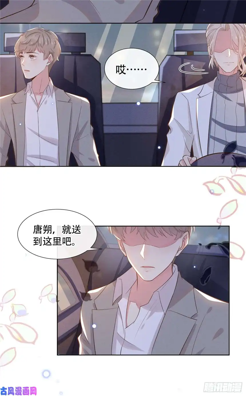 他说我是黑莲花第11话 沈洛安的茶艺表演