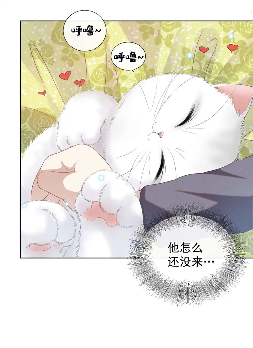 他说我是黑莲花番外 两人的初遇