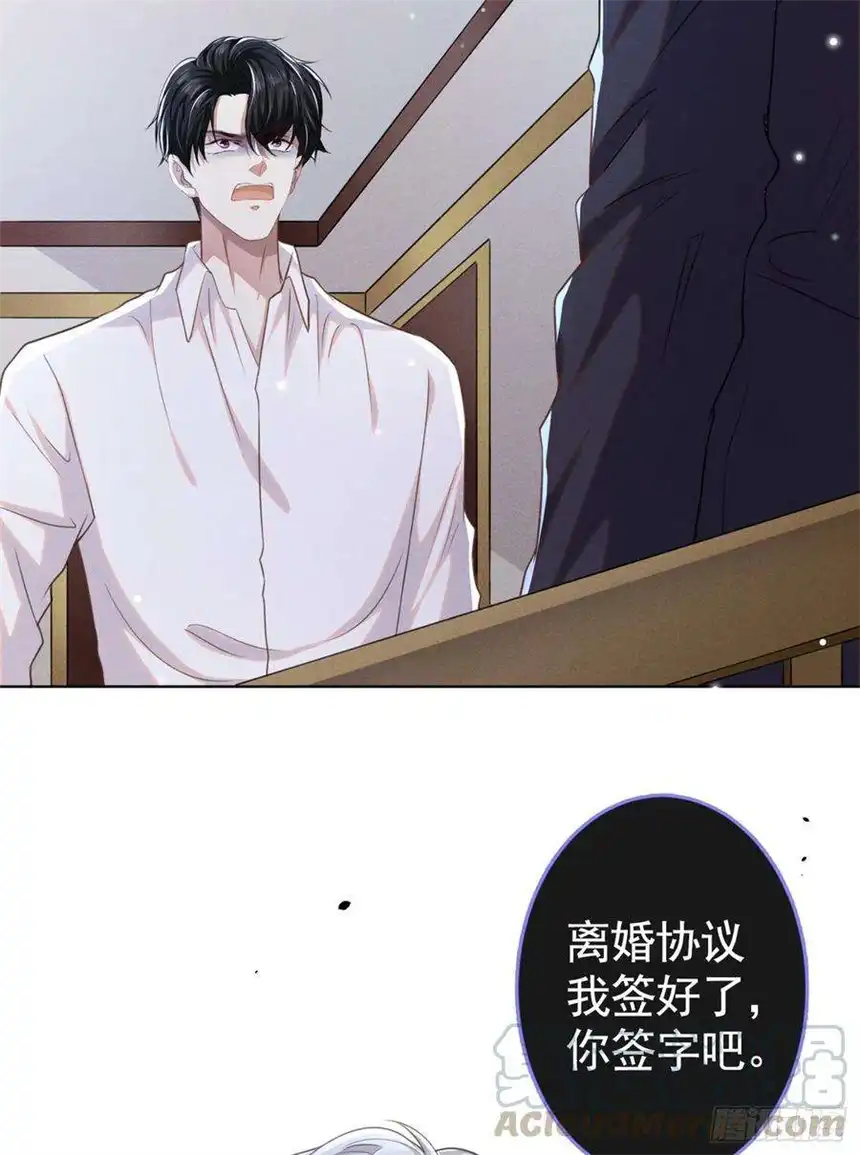 他说我是黑莲花74话 离婚协议，你签字吧