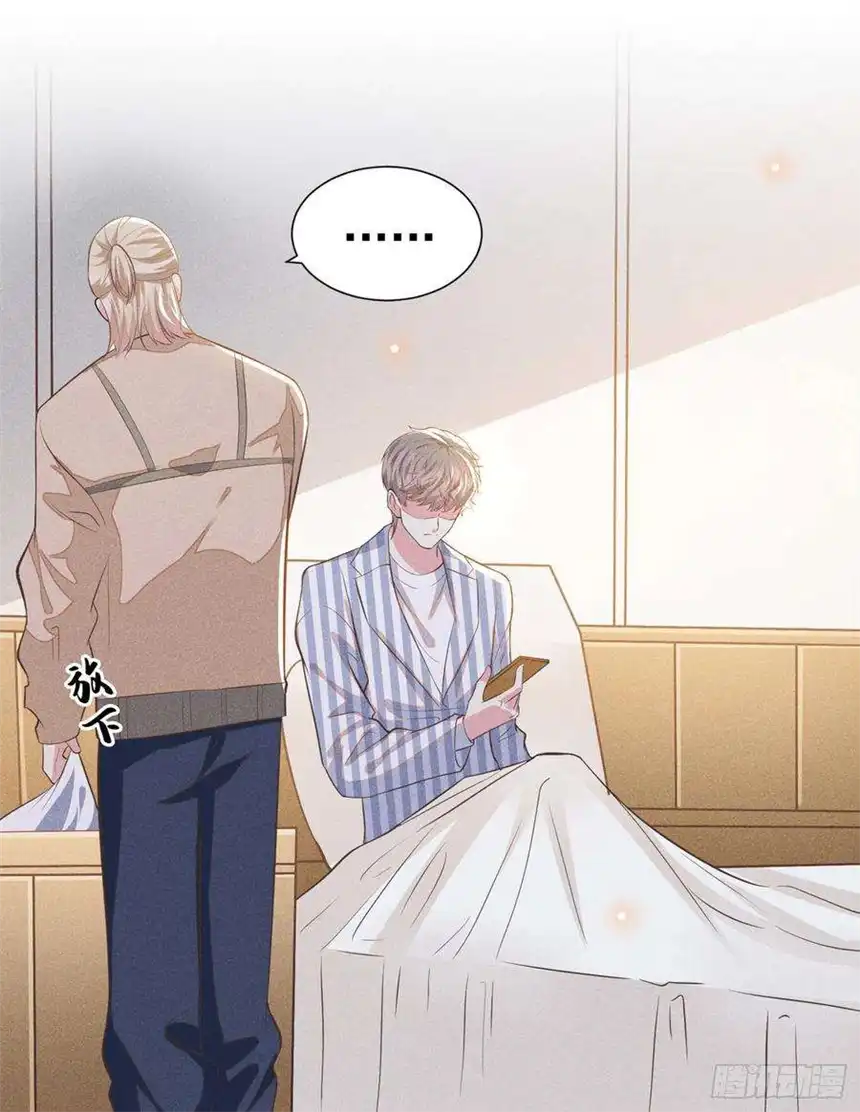 他说我是黑莲花90话 我和他早已离婚