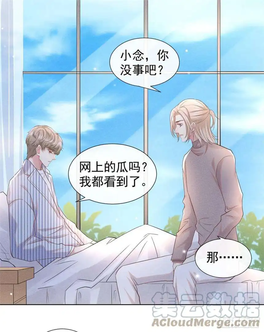 他说我是黑莲花90话 我和他早已离婚