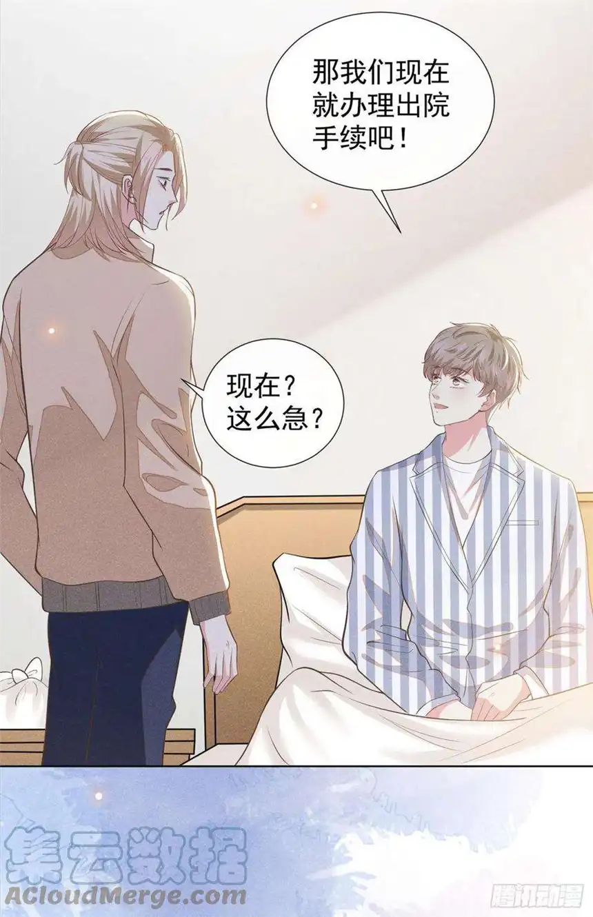 他说我是黑莲花90话 我和他早已离婚