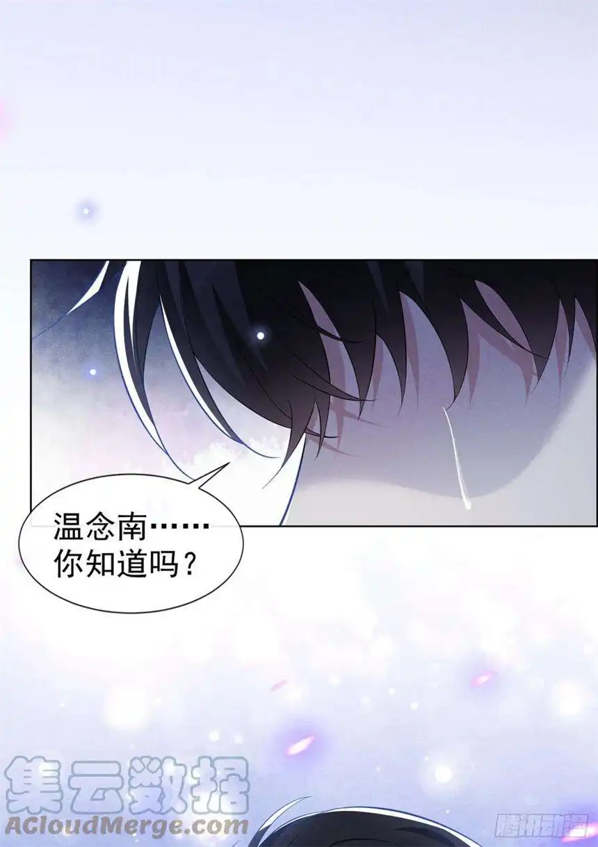 他说我是黑莲花100话 我喜欢上你了