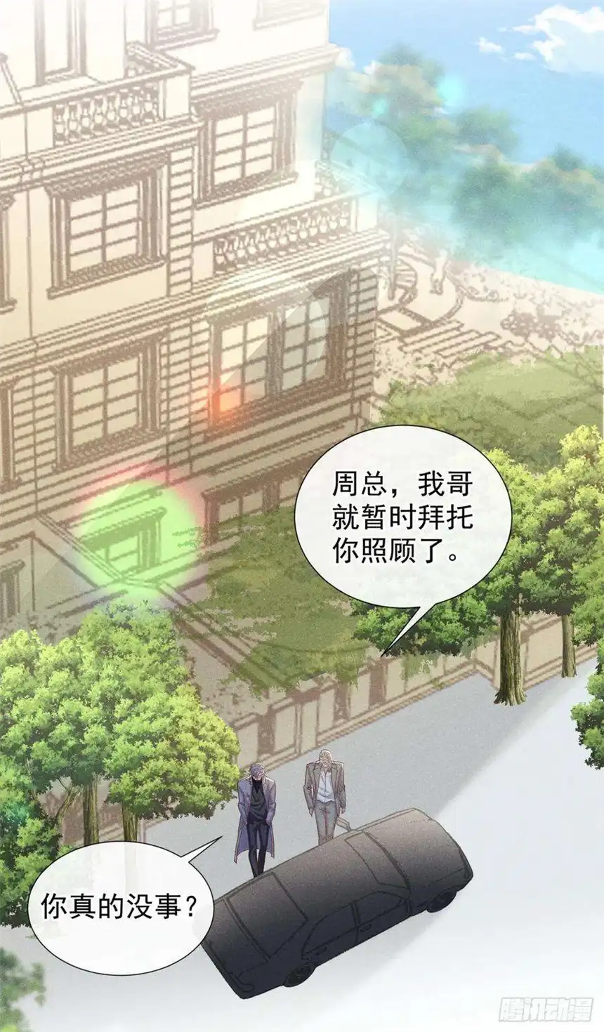 他说我是黑莲花138话 你本应该更耀眼……