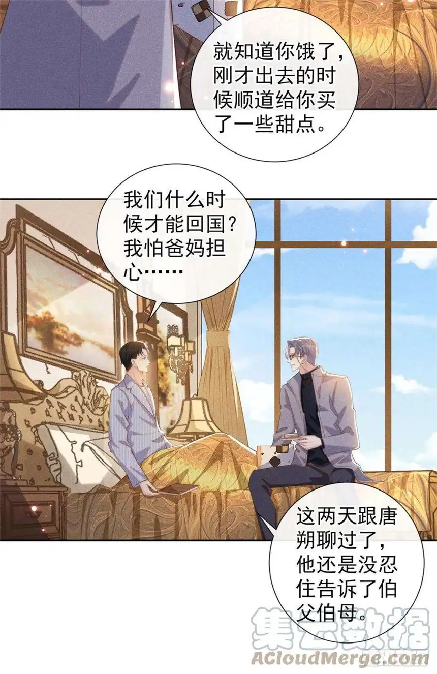 他说我是黑莲花146话 你真的比我更可怜