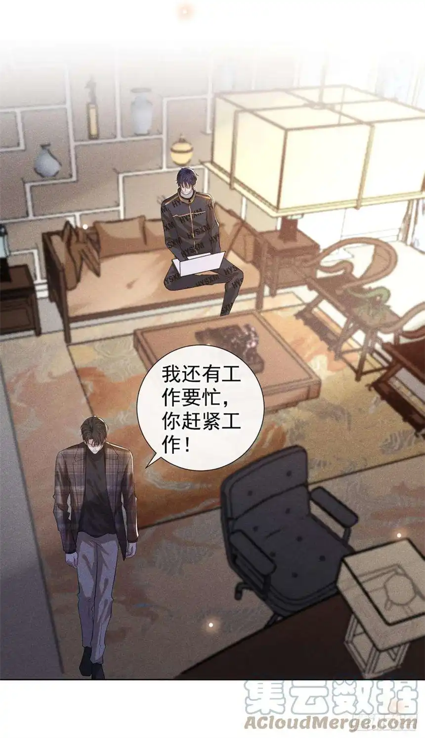 他说我是黑莲花146话 你真的比我更可怜