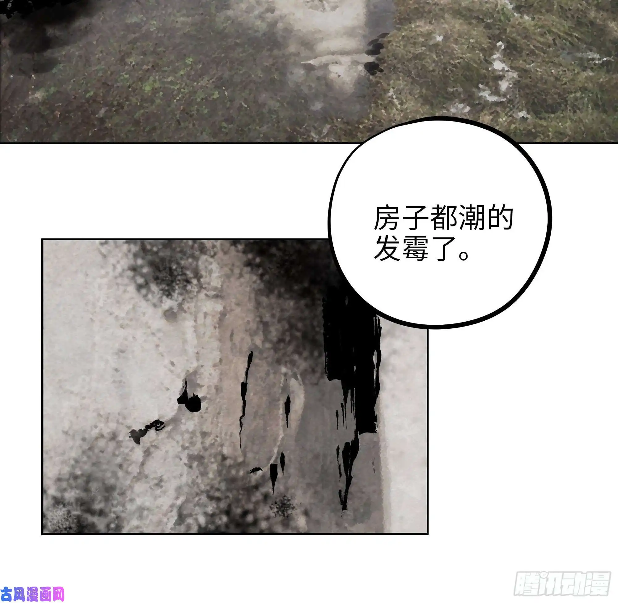 白骨大圣017猫死挂树，狗去水流