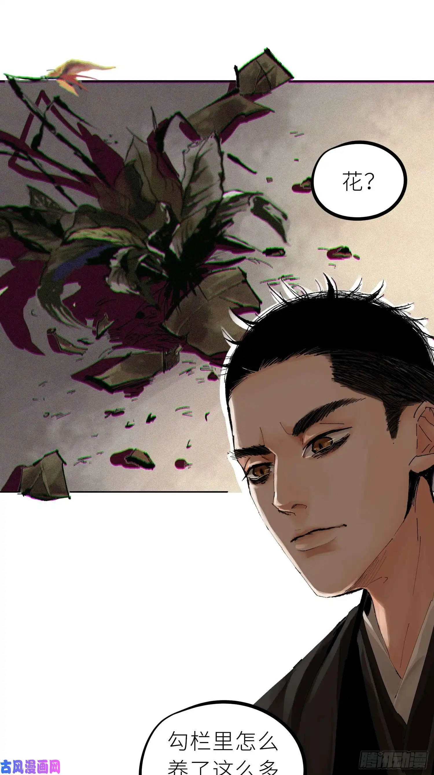 白骨大圣025美人蕉