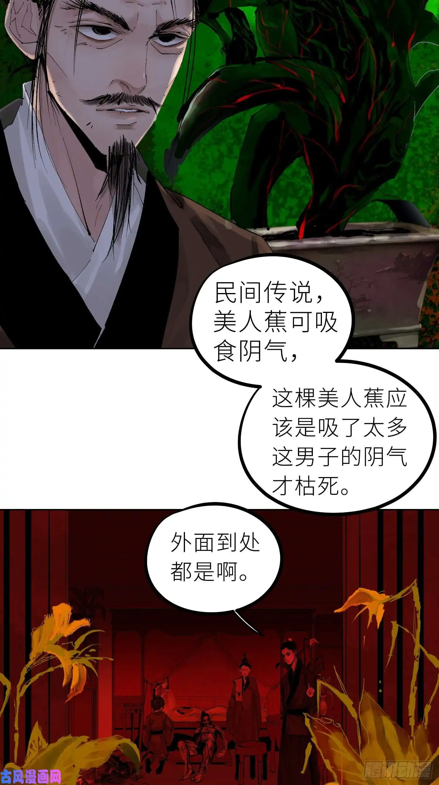 白骨大圣025美人蕉