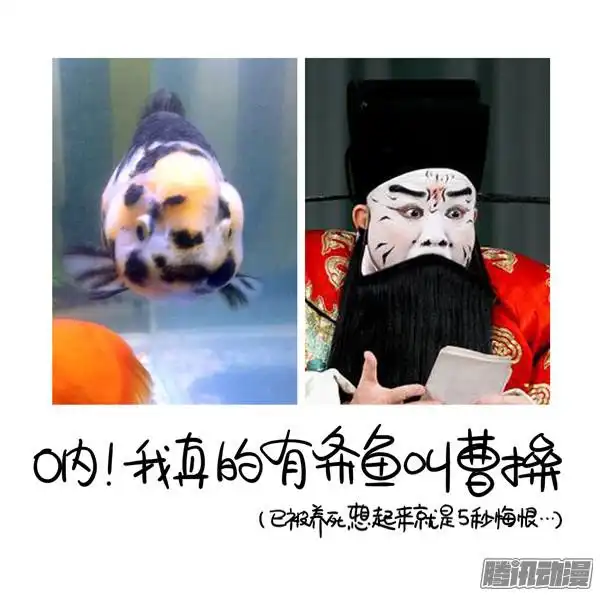 重瞳子搭讪