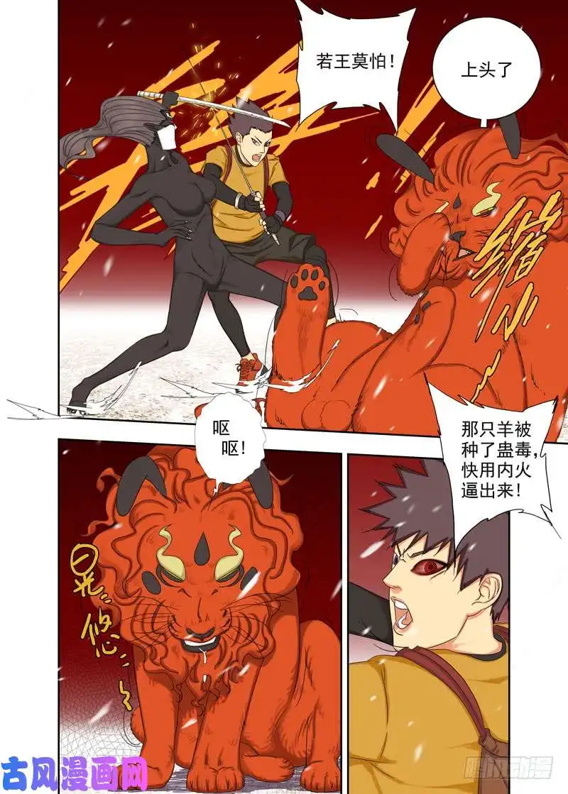 重瞳子白化