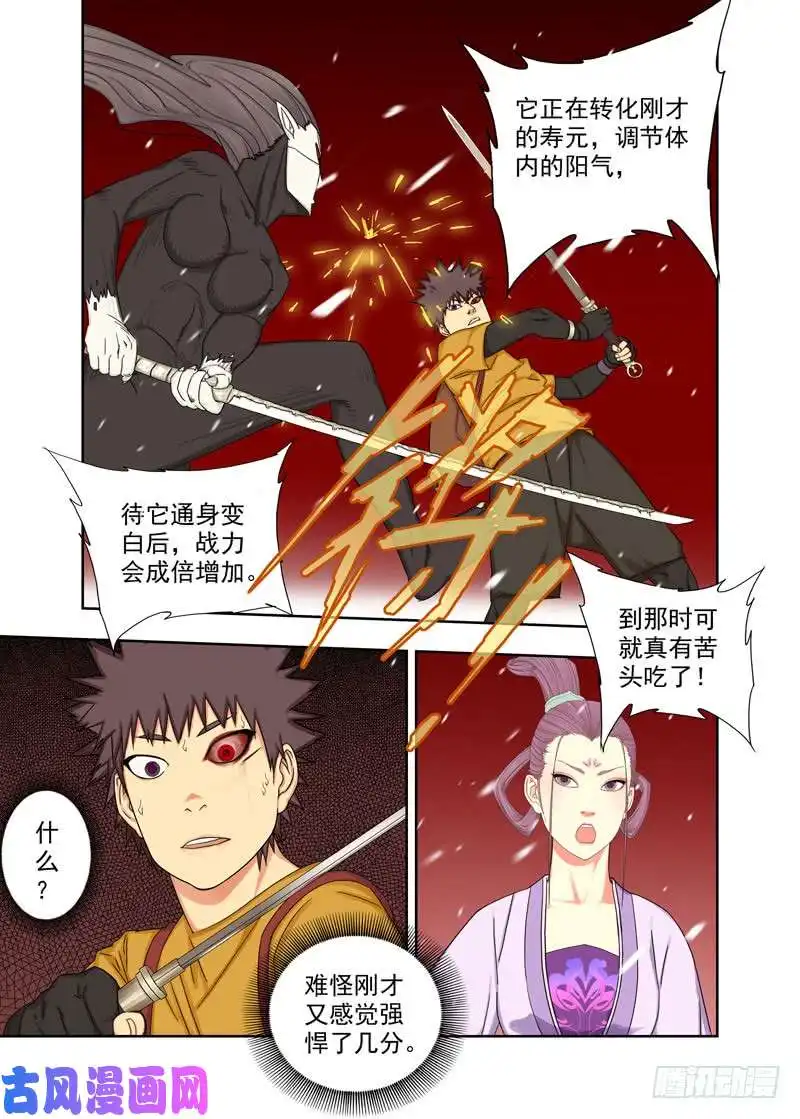 重瞳子白化
