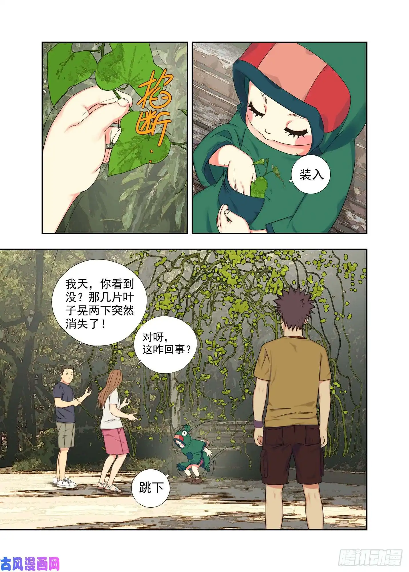 重瞳子柳叶汁